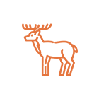Angebot Gerngroß